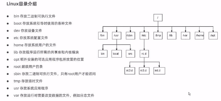 image-20230401113335627