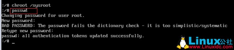 image-20240509135545983